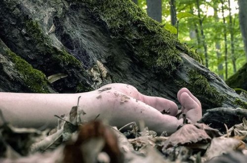 Azərbaycanda dəmiryolunda gəncin hissələrə bölünmüş meyiti tapıldı - Çılpaq olub