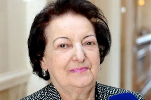 Elmira Süleymanova istefa ərizəsi yazdı