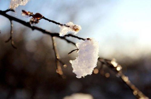 Bakıya yağış, rayonlara qar yağacaq