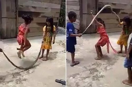 Дети использовали мертвую змею вместо скакалки - ВИДЕО