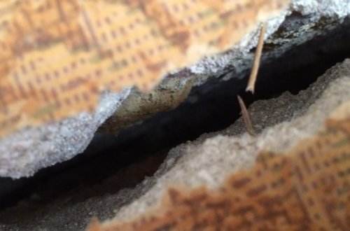 Как известного нефтяника довели до могилы и отделались штрафом в 500 манатов. Вопиющий случай в Бузовна - ФОТО