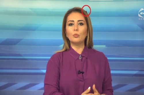 ATV-nin məşhur aparıcısının canlı yayımda milçəklə sınağı — VİDEO