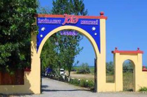 Muxtar Babayevin nəzərinə: - Oğuzda meşələr kütləvi şəkildə talan edilir - VİDEO