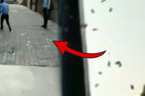 Göydən pul yağdı