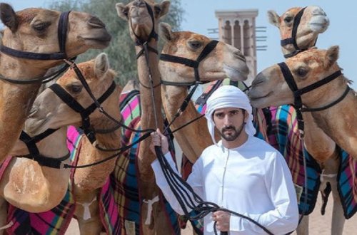 Dubay vəliəhdi Həmdan - Şeyx Məhəmmədin böyük oğlu ilə bağlı 10 fakt - FOTO