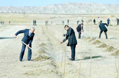 Vasif Talıbov iməclik keçirdi