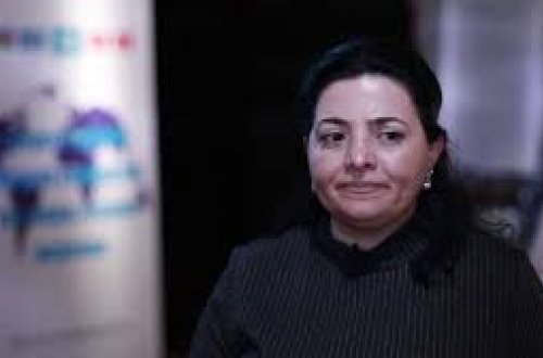 Azərbaycan-Amerika Mədəniyyət Assosiasiyasının sədri Töhfə Eminova Diaspor TV-yə müsahibə verib