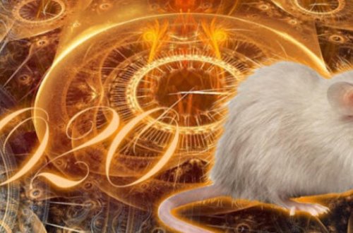 2020-ci ildə bu bürclərin bütün sahələrdə bəxti gətirəcək