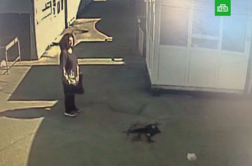 Mağazada uşaq dünyaya gətirdi, küçəyə atdı - VİDEO