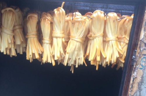 Gəncədə süd və süd məhsullarının istehsalı sexində ürəkbulandıran mənzərə - FOTO