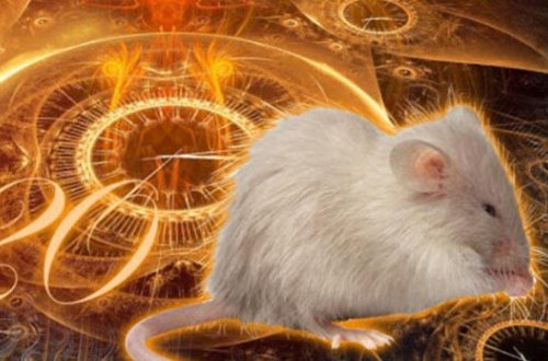 2020-ci ildə bu bürclərin bəxti bütün sahələrdə gətirəcək