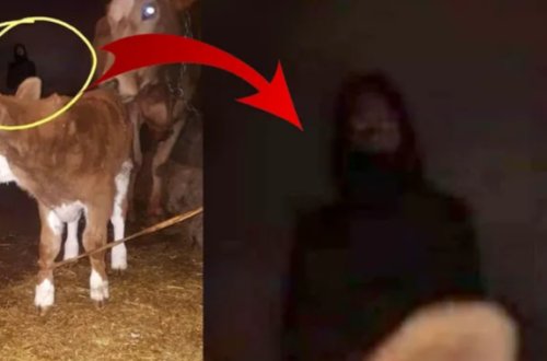 Bu şəkil hər kəsi qorxutdu - FOTOLAR