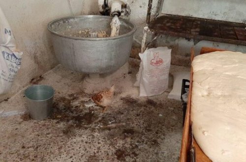 Azərbaycanda natəmiz şəraitdə çörək istehsal edilir - FOTO