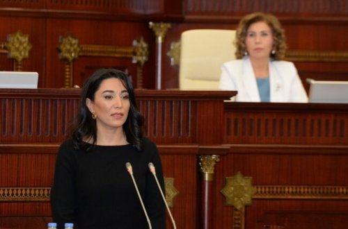 Эльмира Сулейманова представила коллективу нового омбудсмена