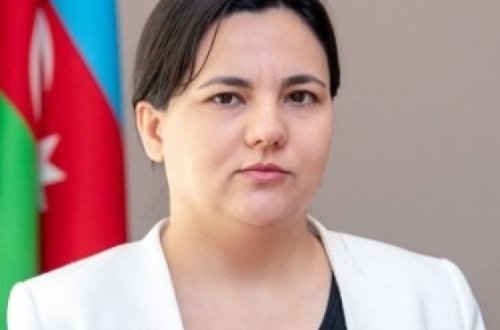 Kənd Təsərrüfatı nazirinin müavini: Fermerlərin ilin sonunadək payızlıq əkinləri EKTİS-də bəyan etməsi vacibdir