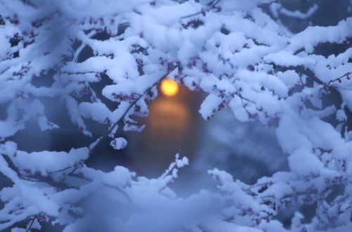 Hava kəskin soyuyur: külək, yağış, qar - XƏBƏRDARLIQ