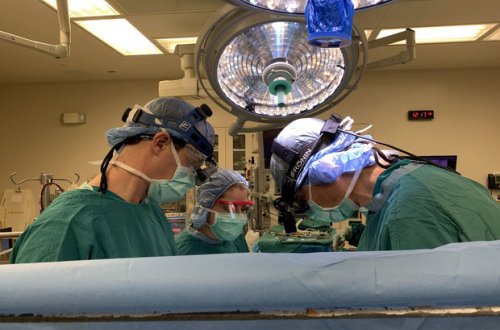 Врачи сняли, как сердце, изъятое у донора после смерти, снова начало биться - ВИДЕО