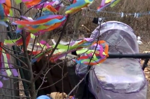 Uşaq arabasına girən pişik 9 aylıq körpəni boğub, öldürdü - DƏHŞƏTLİ HADİSƏ