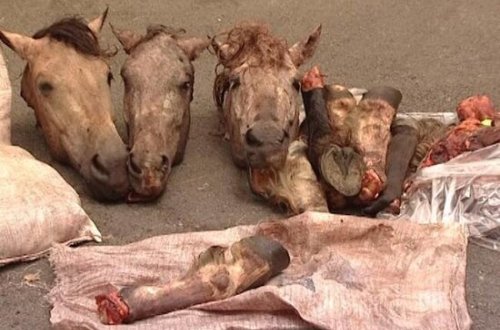 Balakəndə at əti satan keçmiş məhkum TUTULDU