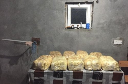 Daha bir pendir sexində iyrənc mənzərə - FOTO