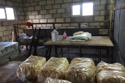 Saçaqlı pendir alarkən diqqətli olun - Antisanitariya - FOTO