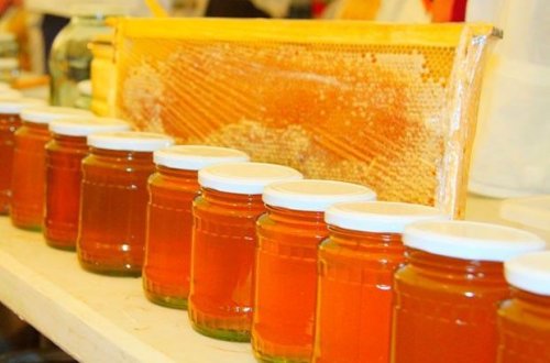 Rusiyaya qanunsuz bal, süd aparan azərbaycanlılara cinayət işi açıldı