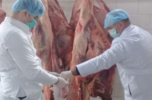 В Сумгайыте уничтожено 227 кг непригодного мяса