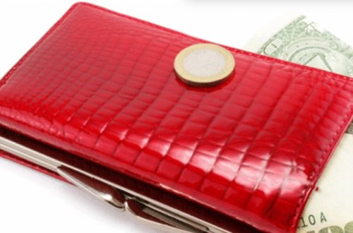 Pul kisəsi haqqında bilmədikləriniz? - Varlanmağın yolları