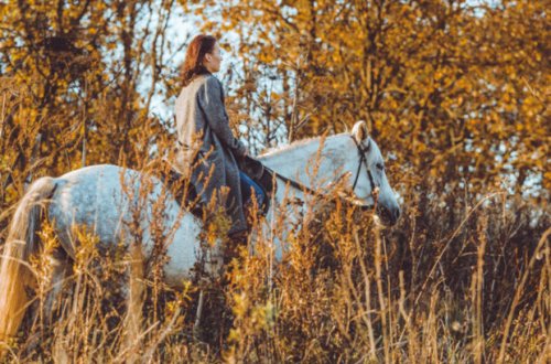 Синоптики пообещали 13 градусов тепла