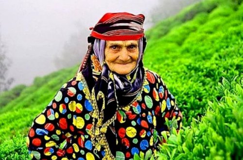 Bu iki qidanı yeyib 90 il yaşayırlar