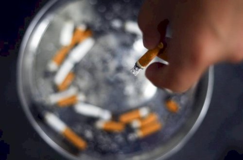 Akademiya uşaqlara siqaret çəkməyi məsləhət gördü - Skandal