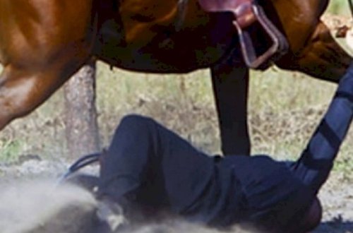 Paytaxtda 61 yaşlı kişini at vurdu