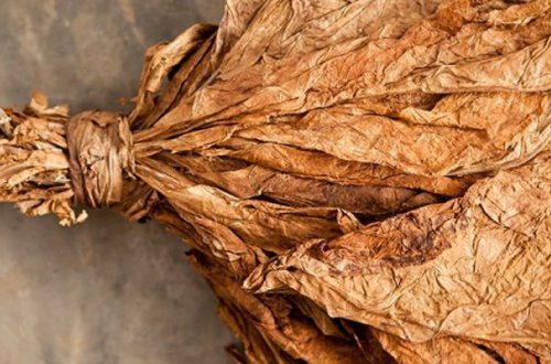 Азербайджан резко увеличил экспорт табака