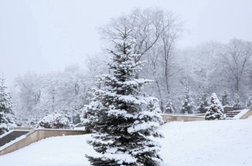 Qar, yağış, külək gəlir - Nazirlikdən əhaliyə HAVA XƏBƏRDARLIĞI