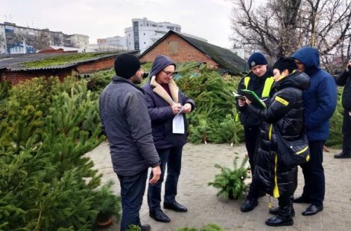 Qanunsuz şam ağacı satan azərbaycanlı məsuliyyətə cəlb edildi