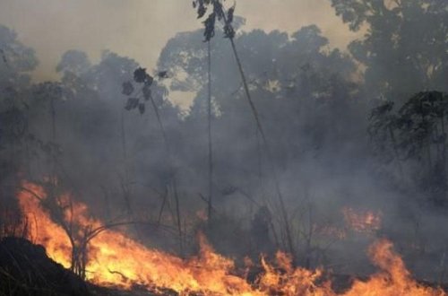 Tovuzda dağlıq ərazidə yanğın başlayıb