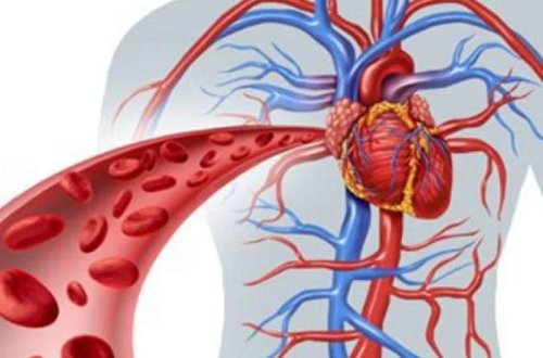 Damar tıxanmasına və insulta səbəb olan QİDALAR