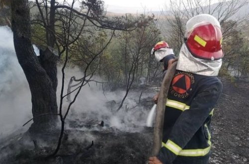 Жара в декабре: на грузино-армянской границе горят леса