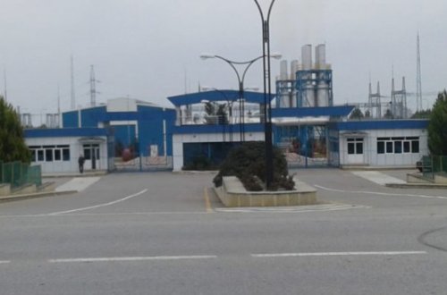 Elektrik stansiyası yoxsa istixana...? - “Azərenerji”də dünyada analoqu olmayan mənzərə + FOTOLAR