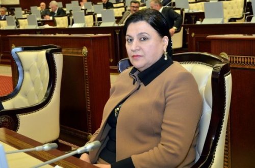 Sabiq vitse-spiker yenidən namizədliyini irəli sürdü