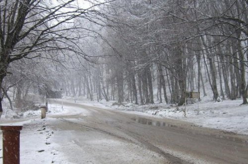 Yeni ilin ilk iş gününə olan hava proqnozu: Duman, külək