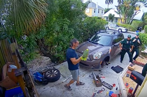 Qonşudakı tutuquşunun kömək çağırmasını polisə xəbər verdi - Video