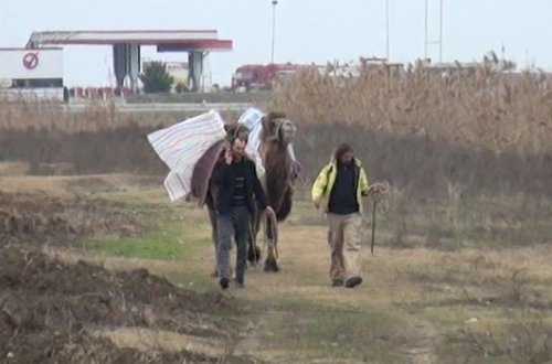 Dünyanı dəvə ilə gəzən turist Azərbaycandan keçdi - VİDEO