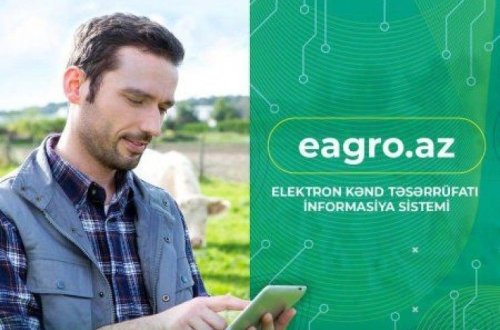 Kənd təsərrüfatı məhsulları istehsalının subsidiyalaşdırılması üzrə yeni qayda qüvvəyə minib