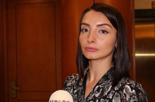 По предварительным данным, азербайджанцев среди погибших на борту пассажирского самолета в Иране нет