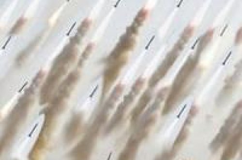 “Dubayı vuracağıq” – İran hədələdi