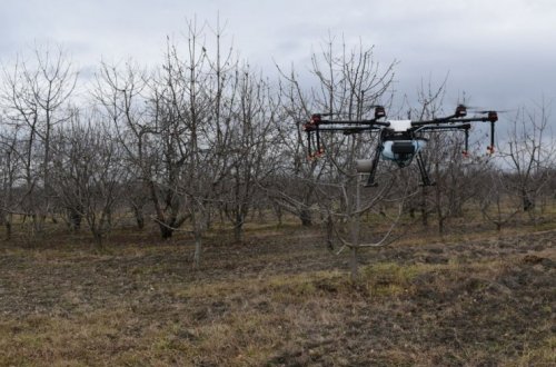 “Alimlər fermerlərin yanında” layihəsinin icrasına başlanıb