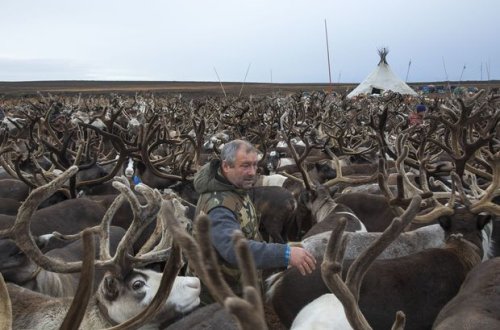 On altı gün Tundrada itkin düşən şəxs sağ tapıldı
