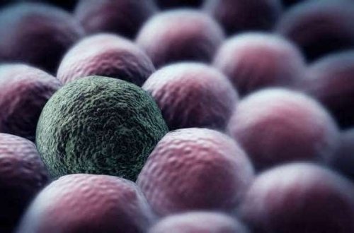 Alimlərdən şok araşdırma: xərçəng 1 saniyəyə məhv ediləcək