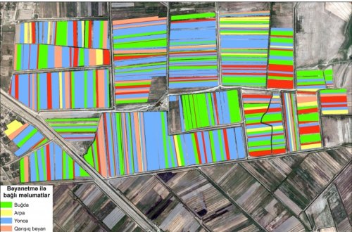 EKTİS-də payızlıq əkinlərlə bağlı məlumatların “Azərkosmos”dan aparılan çəkilişlər əsasında yoxlanılmasına başlanıb